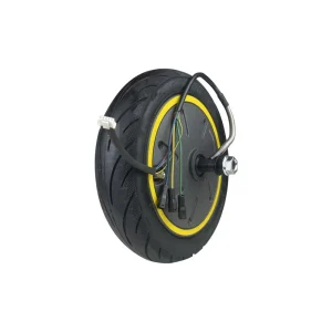 Moteur Ninebot G30 Max