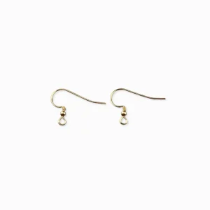 Boucles d'oreilles crochets 18mm