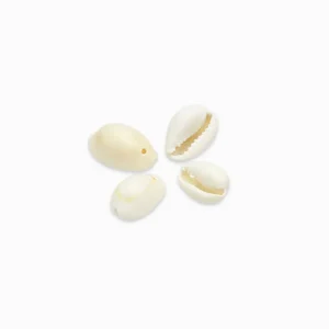 Breloquescoquillagescaurisnaturels13-18mmbeige-Lotde50-CAQ0006-LaPerlerie22.jpgv1737460696 Breloques coquillages cauris naturels 13-18mm