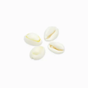 Breloquescoquillagescaurisnaturels17-22mmbeige-Lotde50-CAQ0007-LaPerlerie22.jpgv1737460697 Breloques coquillages cauris naturels 17-22mm