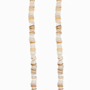 PSF0045.jpgv1758636690 Perles coquillage d'eau douce 6mm