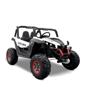 Buggy Électrique Enfant 12V 2 Places