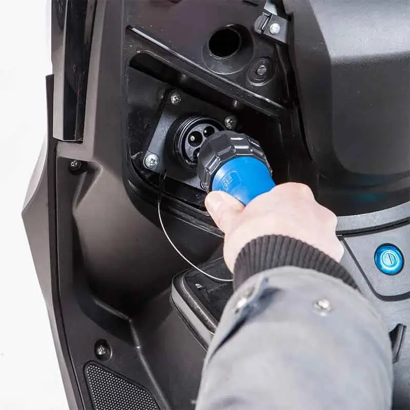 Pink Fly – Image 7